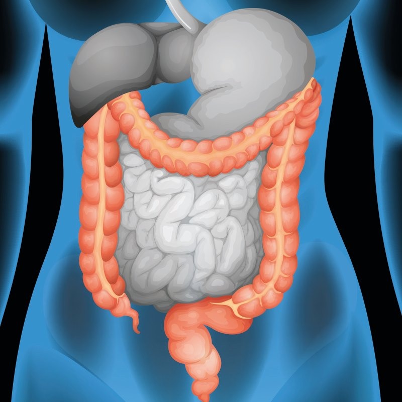 Ecoendoscopia in 4 punti